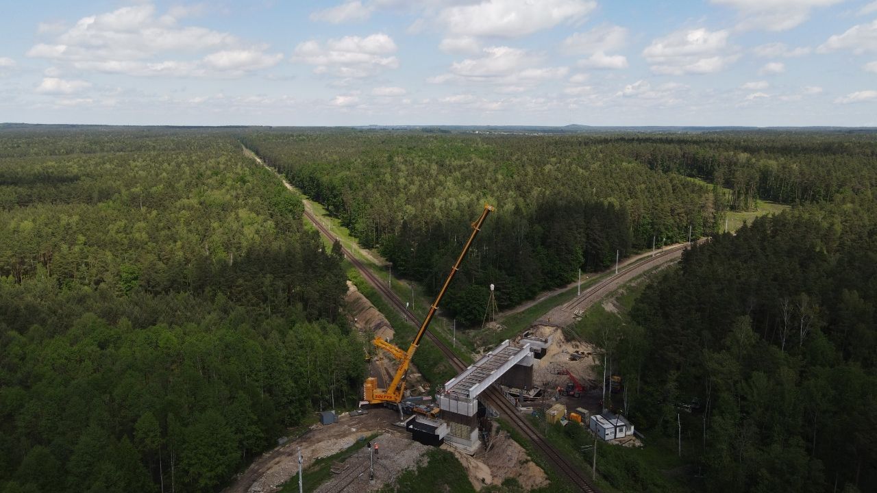 Demag AC 800 realizuje prace po środku lasu w terenie nizinno górskim podbeskidzia. 